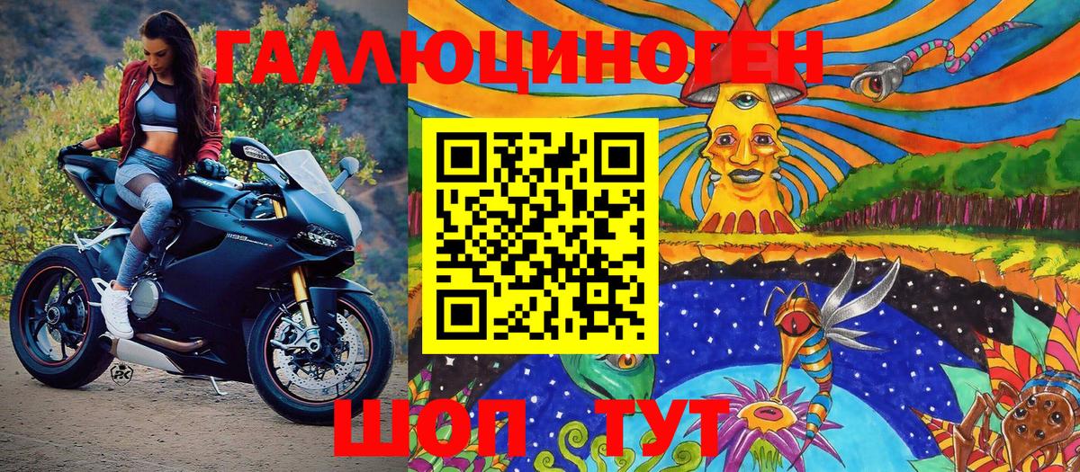 Псилоцибиновые грибы Psilocybe  Вход с VPN  Котовск 